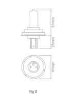 Ionnic 64199 Globe Halogen H4 24V 75/70W P43t-38